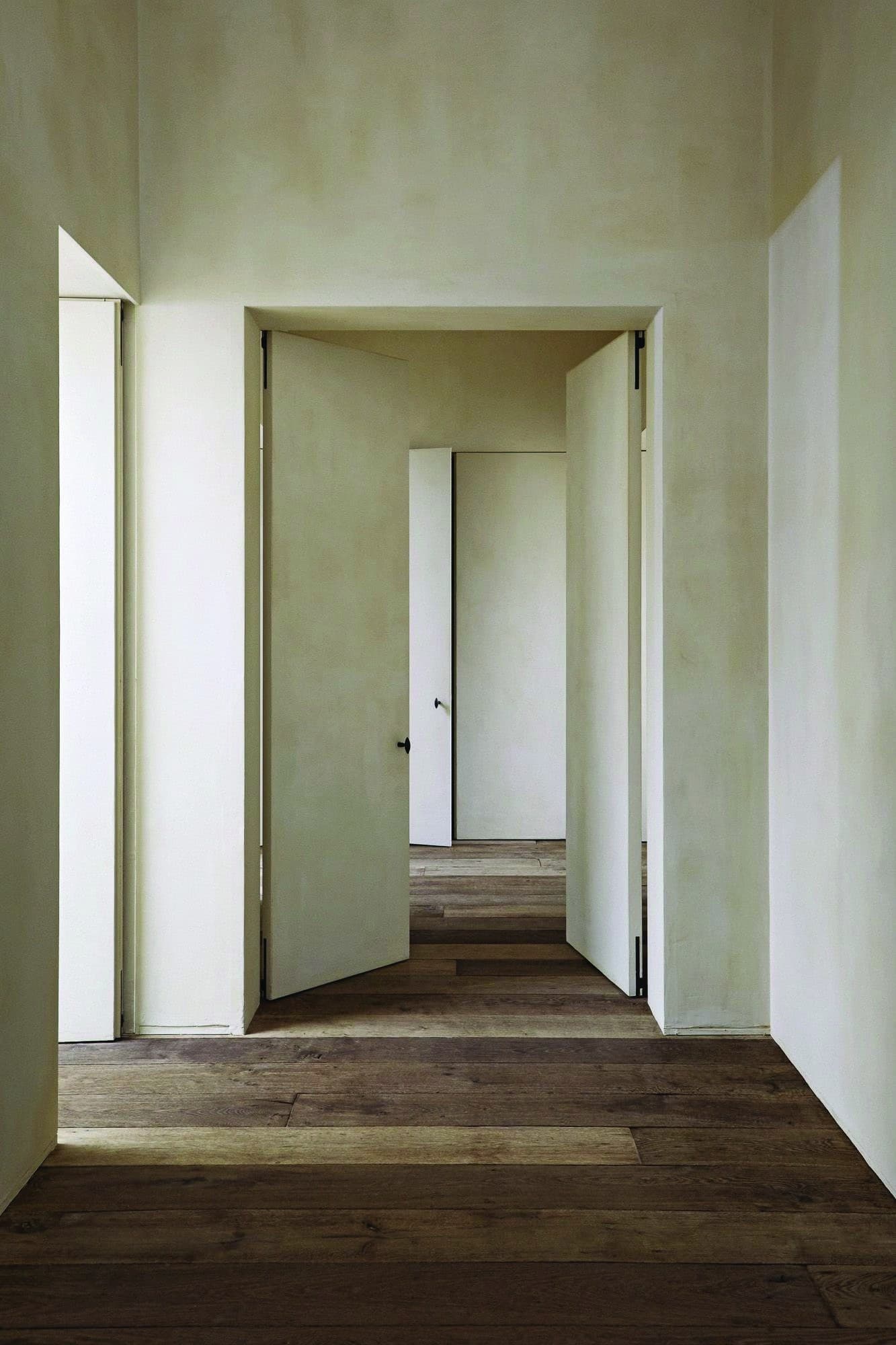 Atelier Noir door by DEVALKO